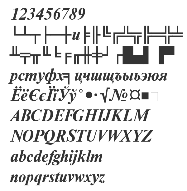 Скачать шрифт NewtonDOSCTT BoldItalic