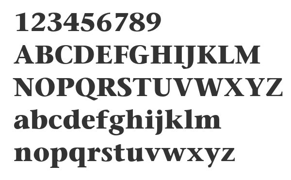 Скачать шрифт SonetSerif Bold